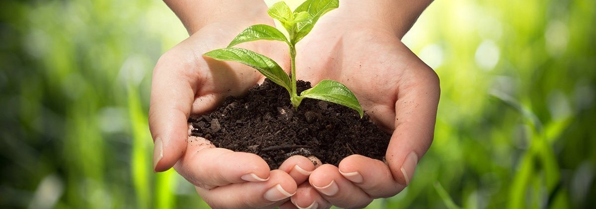 ETTONTAAK HI IN - Part 1