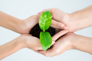 BIT KISAKLOUHNA APAN SUAHTAKNA