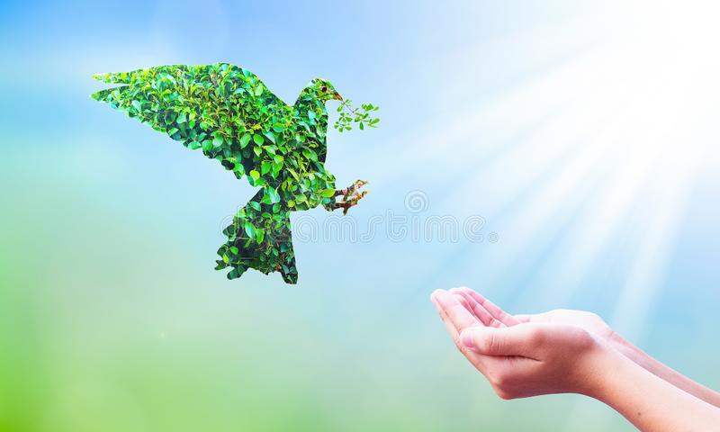 KHASIANGTHOU OMPIHNA