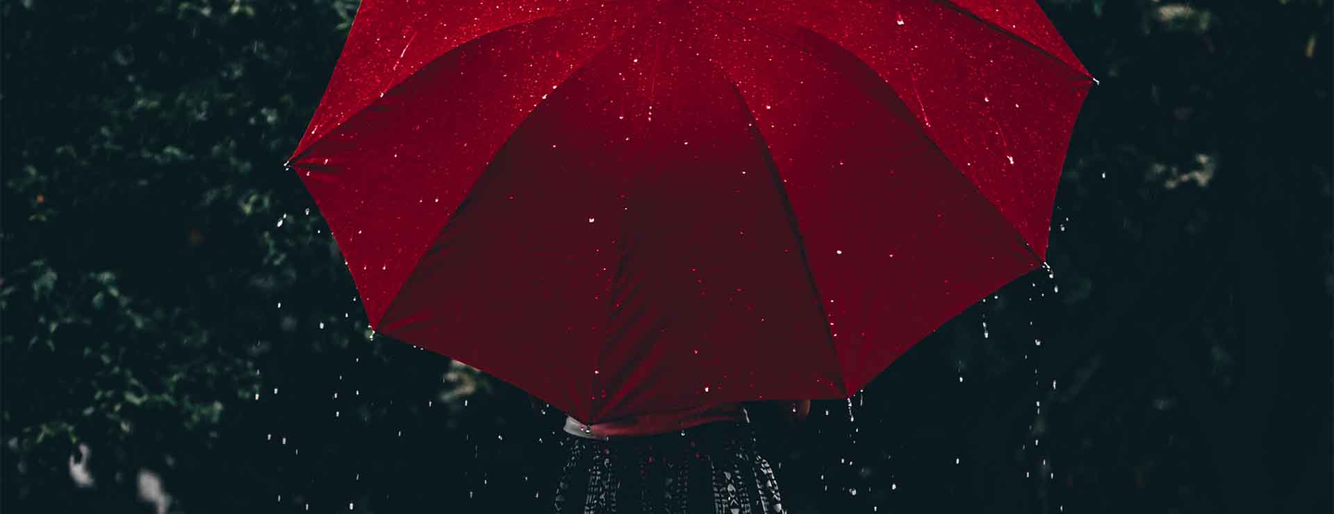THE RAIN
